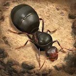 تحميل-لعبة-the-ants-underground-kingdom.webp