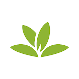 تحميل-تطبيق-بلانت-نت-تحديد-نوع-النبات.webp